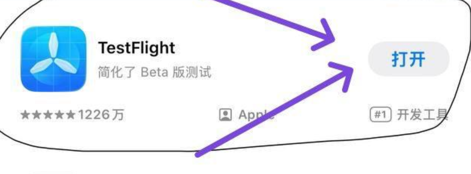 TestFlight 下载说明